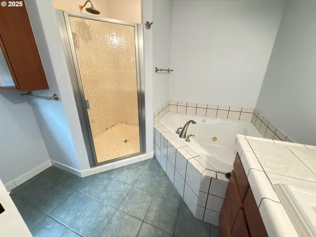 a bathroom with a bathtub and a shower