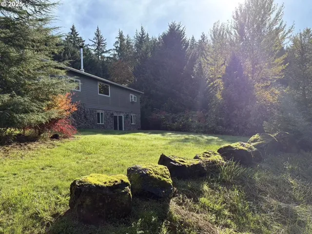 a view of a backyard with plants and a patio
