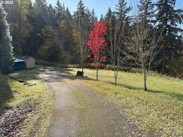 a backyard of a house with lots of green space