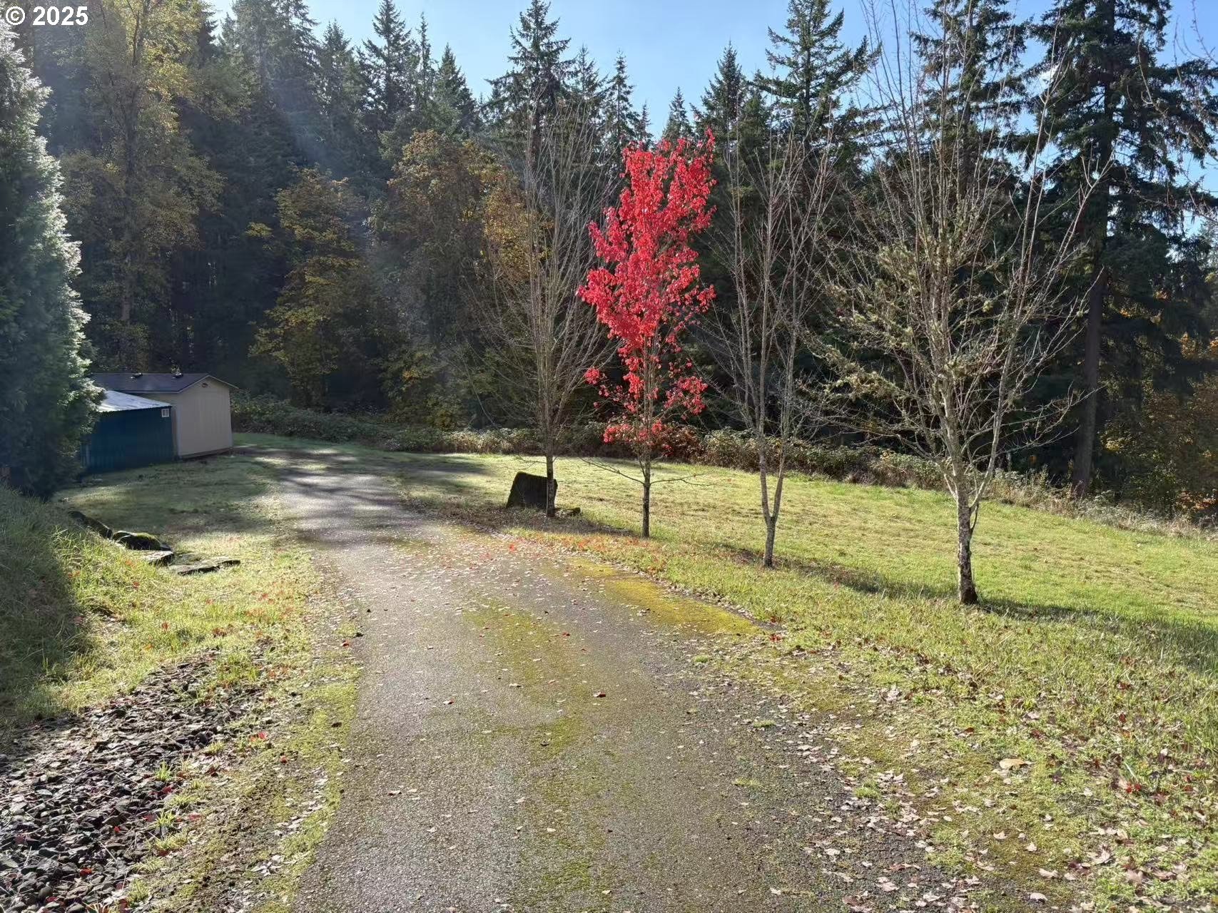 27741 Southeast Wallace Road Estacada, OR 97023 - Photo 44 of 45