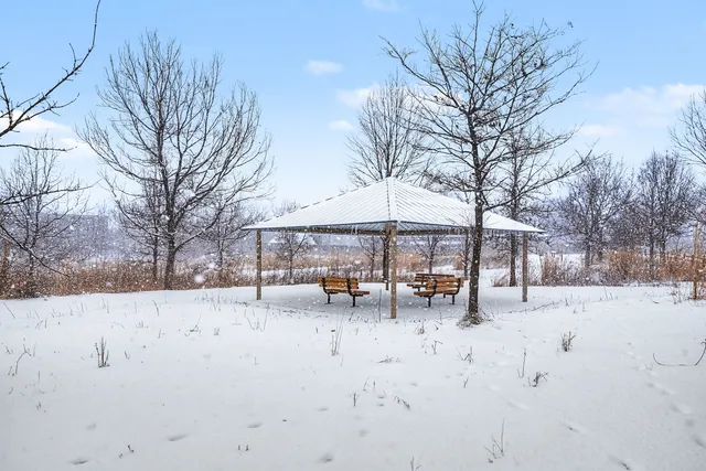a view of terrace with a tree