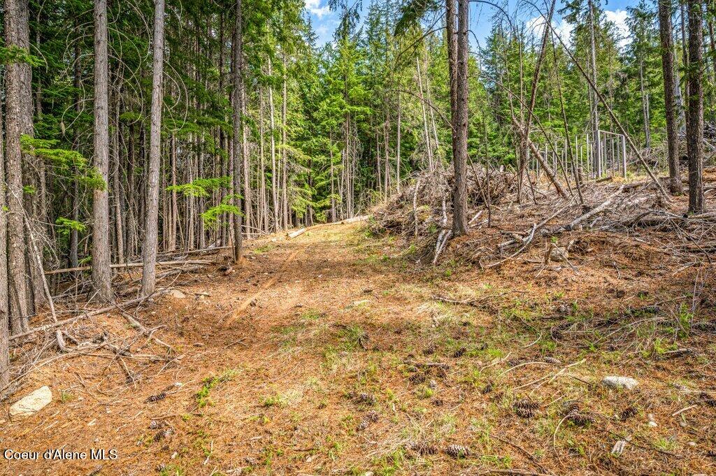 Tbd Wellington Road Sandpoint, ID 83864 - Photo 17 of 36 Partially Treed