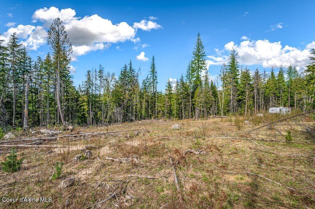Tbd Wellington Road Sandpoint, ID 83864 - Photo 18 of 36 Open Spaces