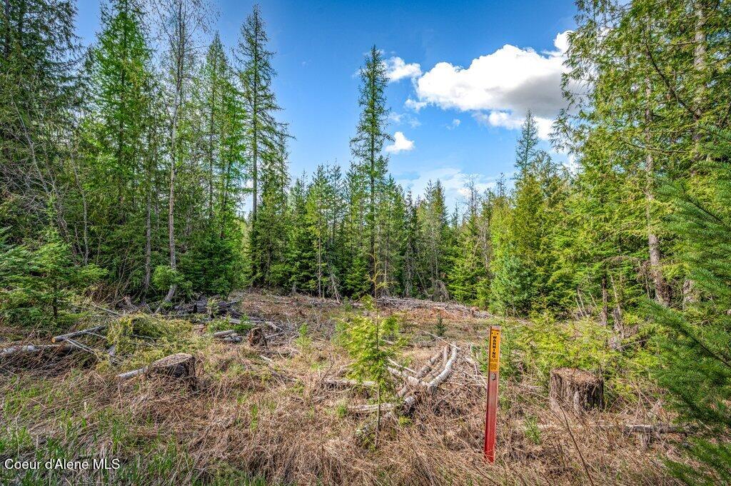 Tbd Wellington Road Sandpoint, ID 83864 - Photo 19 of 36 Middle Property