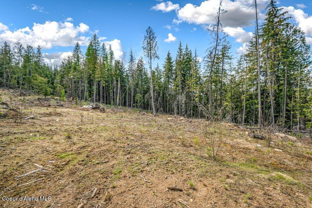 Tbd Wellington Road Sandpoint, ID 83864 - Photo 21 of 36 --4.jpg-SMALL