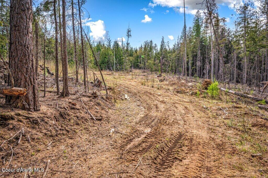 Tbd Wellington Road Sandpoint, ID 83864 - Photo 22 of 36 Driveway