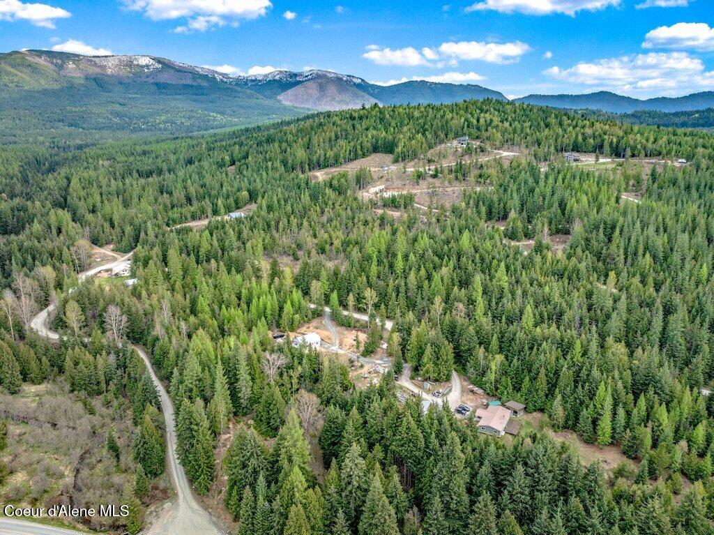 Tbd Wellington Road Sandpoint, ID 83864 - Photo 32 of 36 --34.jpg-SMALL
