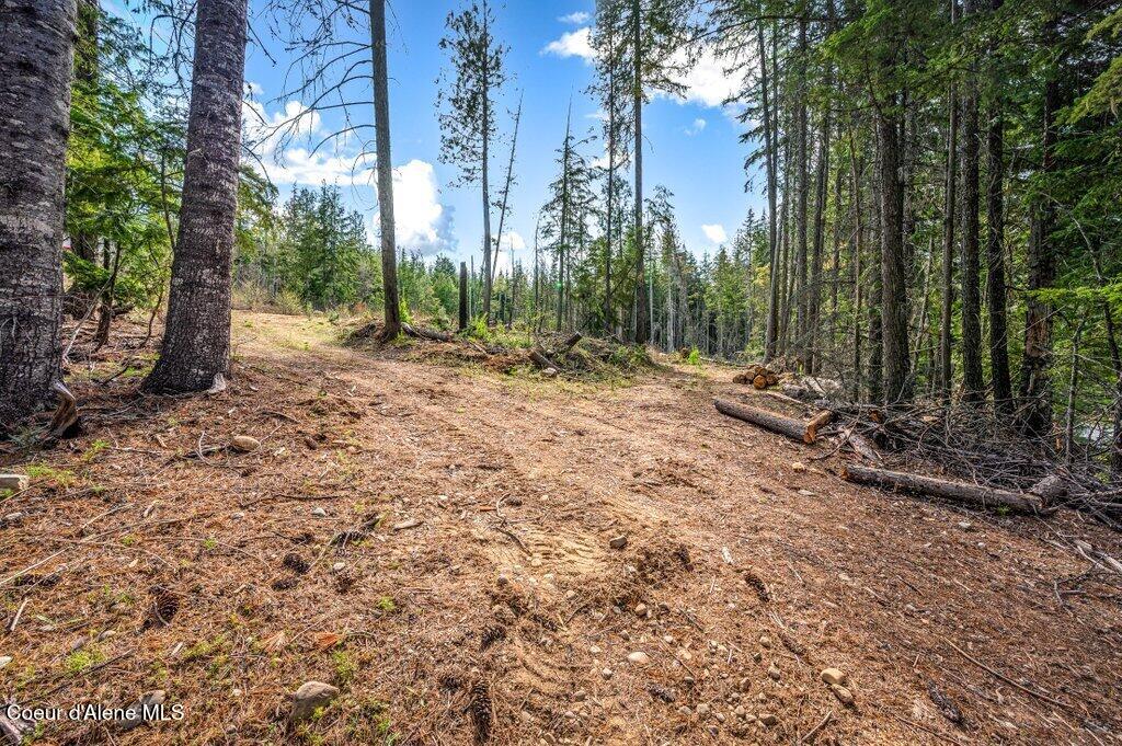 Tbd Wellington Road Sandpoint, ID 83864 - Photo 4 of 36 Building Sites