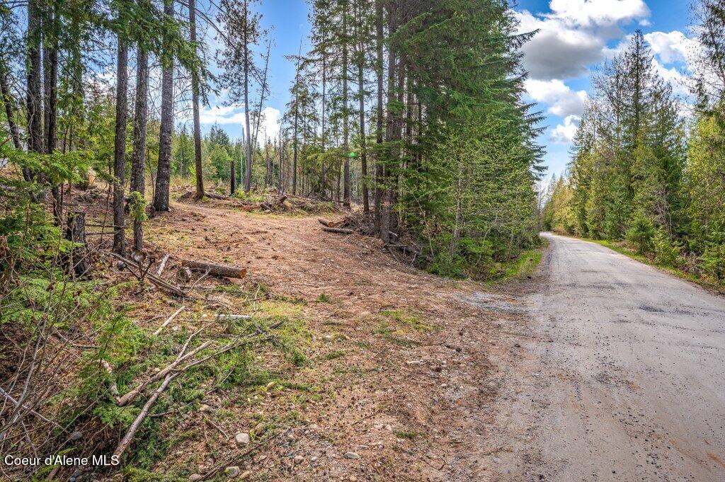 Tbd Wellington Road Sandpoint, ID 83864 - Photo 5 of 36 Driveway