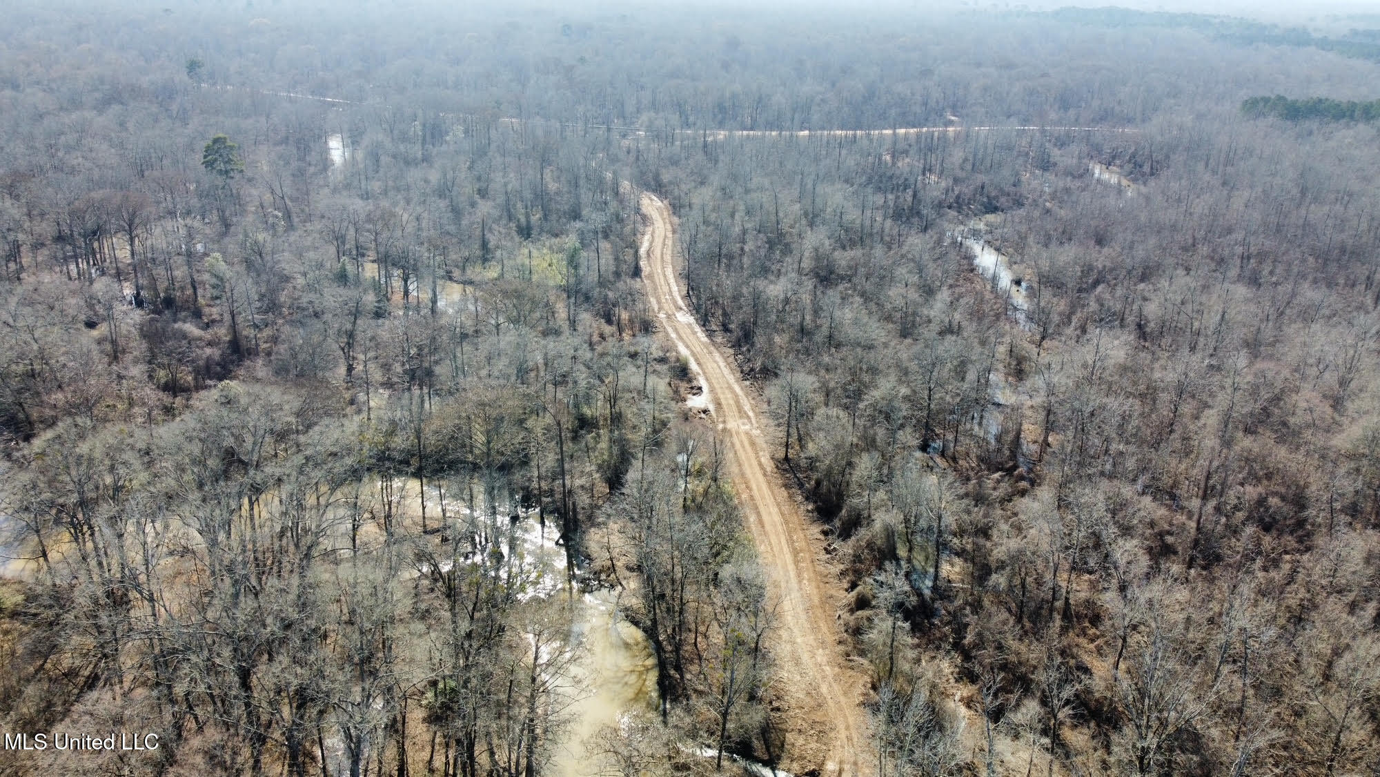 2 Evans Road Carthage, MS 39051 - Photo 29 of 51 106