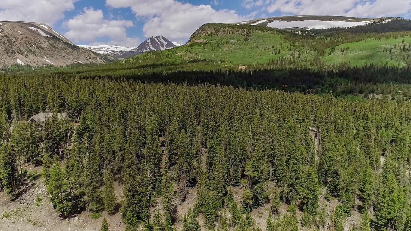 503 Golden Hills Road Alma, CO 80420 - Photo 13 of 36 a view of lake with green space