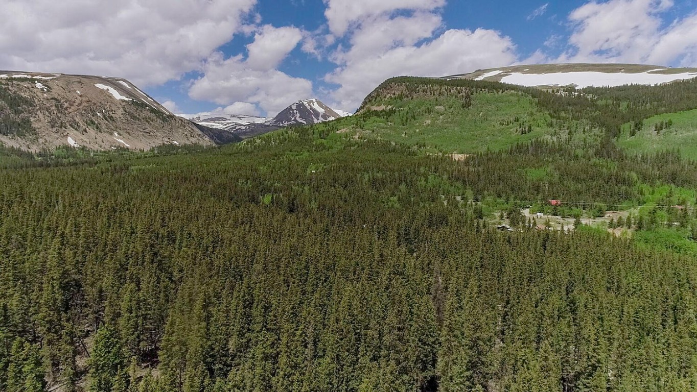 503 Golden Hills Road Alma, CO 80420 - Photo 18 of 36 a view of a garden