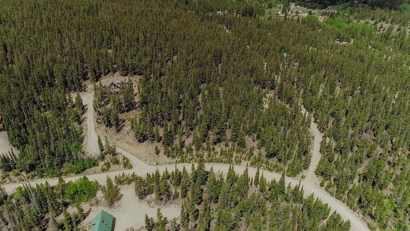 503 Golden Hills Road Alma, CO 80420 - Photo 22 of 36 a view of a yard