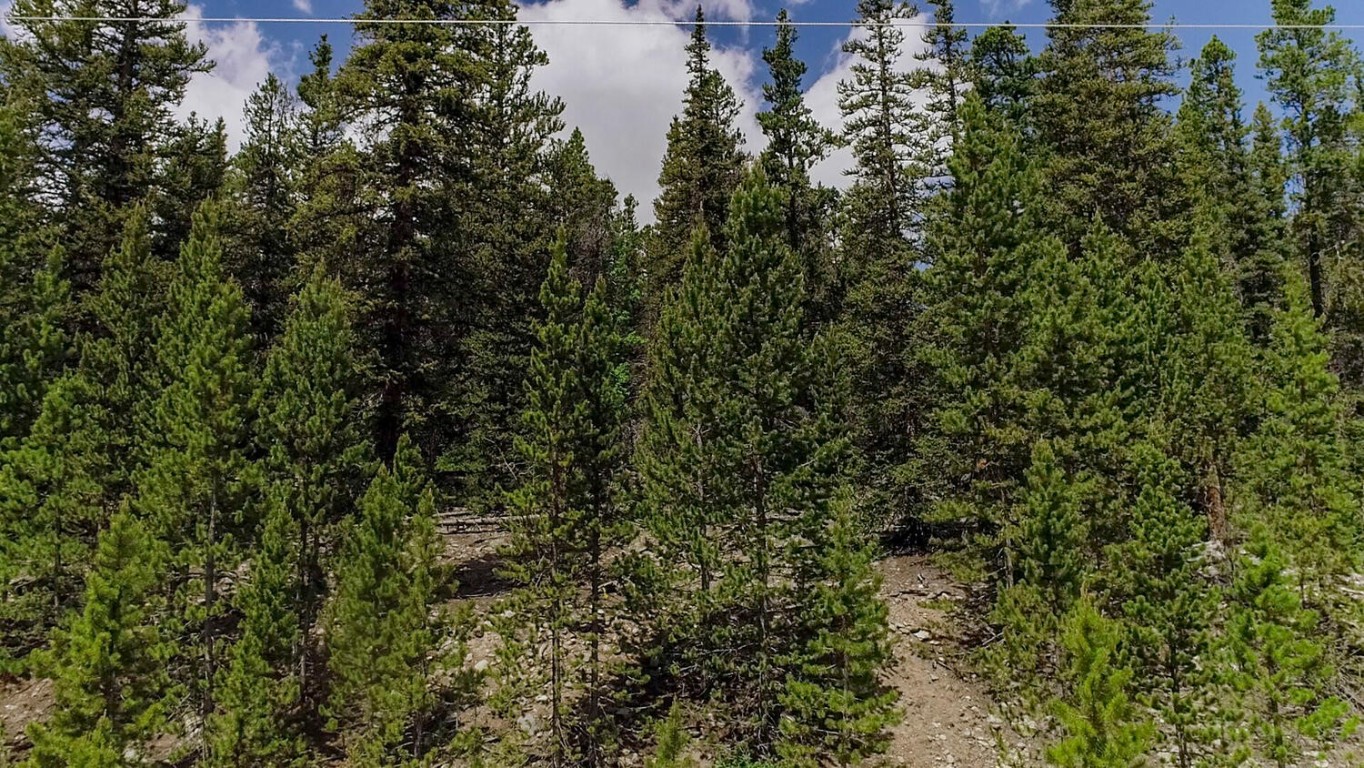 503 Golden Hills Road Alma, CO 80420 - Photo 8 of 36 an outdoor view of house with green space