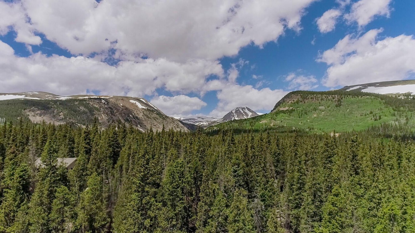 503 Golden Hills Road Alma, CO 80420 - Photo 9 of 36 a view of an outdoor space and a yard