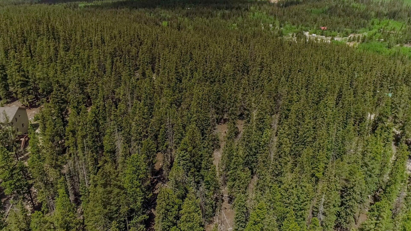 503 Golden Hills Road Alma, CO 80420 - Photo 10 of 36