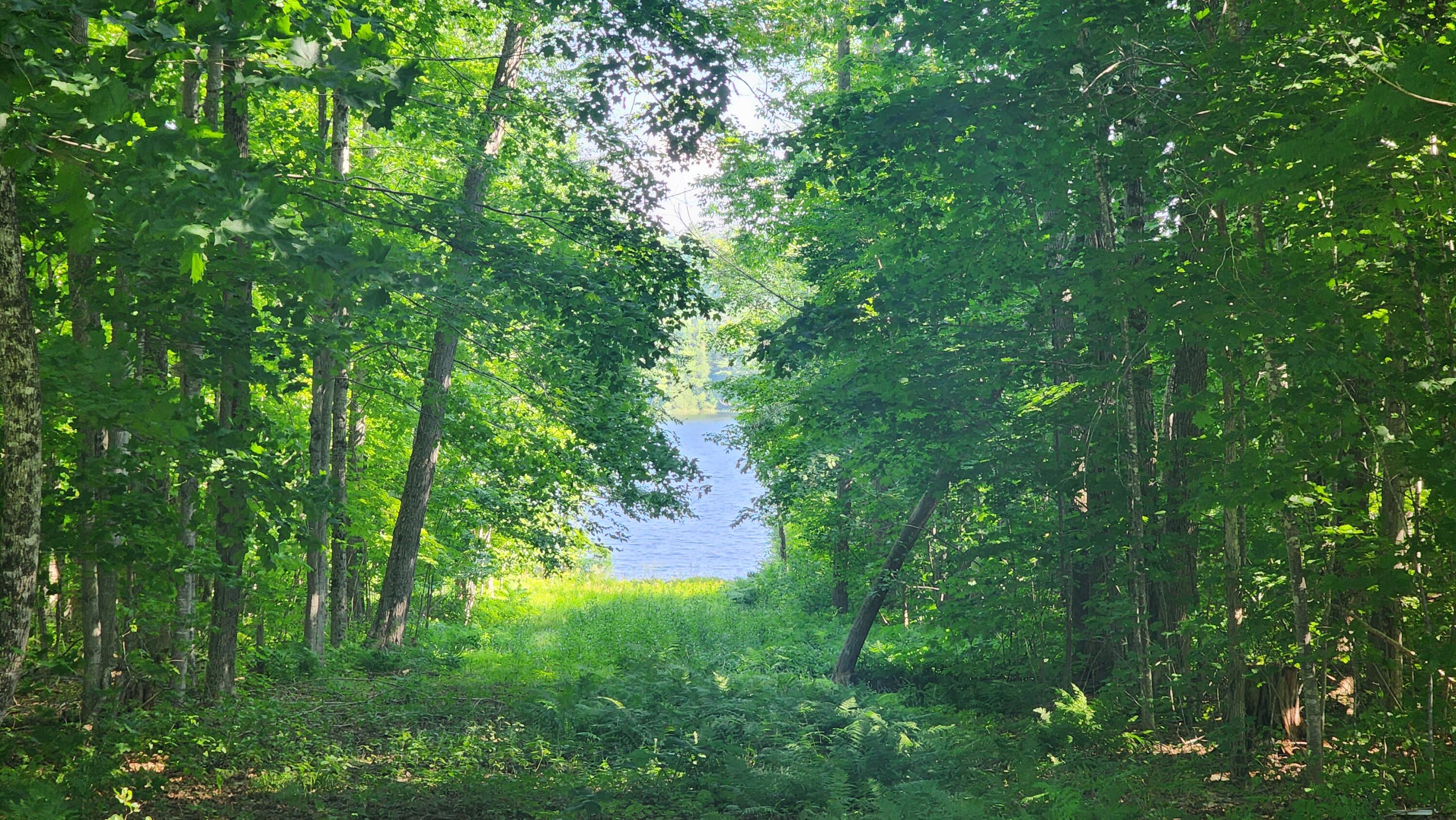 511 Flanders Hill Road Sangerville, ME 04479 - Photo 77 of 89 20230724_161555