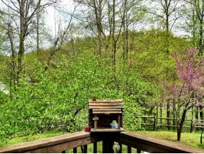3533 Labrador Road Coeburn, VA 24230 - Photo 23 of 24 Even a Home for the Birds