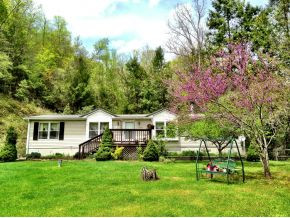 3533 Labrador Road Coeburn, VA 24230 - Photo 24 of 24 Red Bud is Blooming