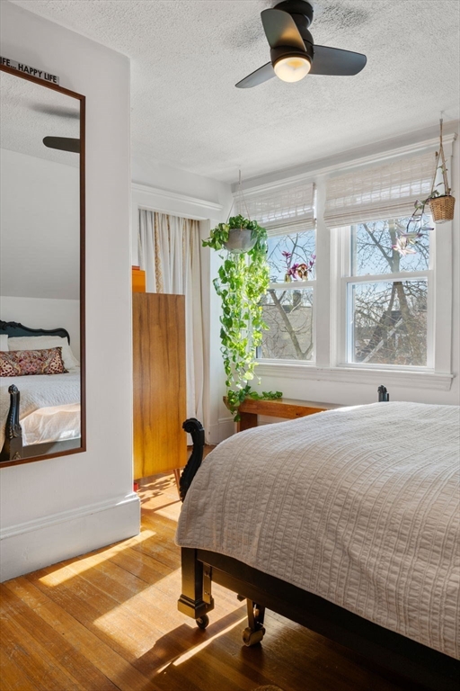 52 Patten Street, Unit 3 Boston, MA 02130 - Photo 3 of 10 Gallery Image 3
