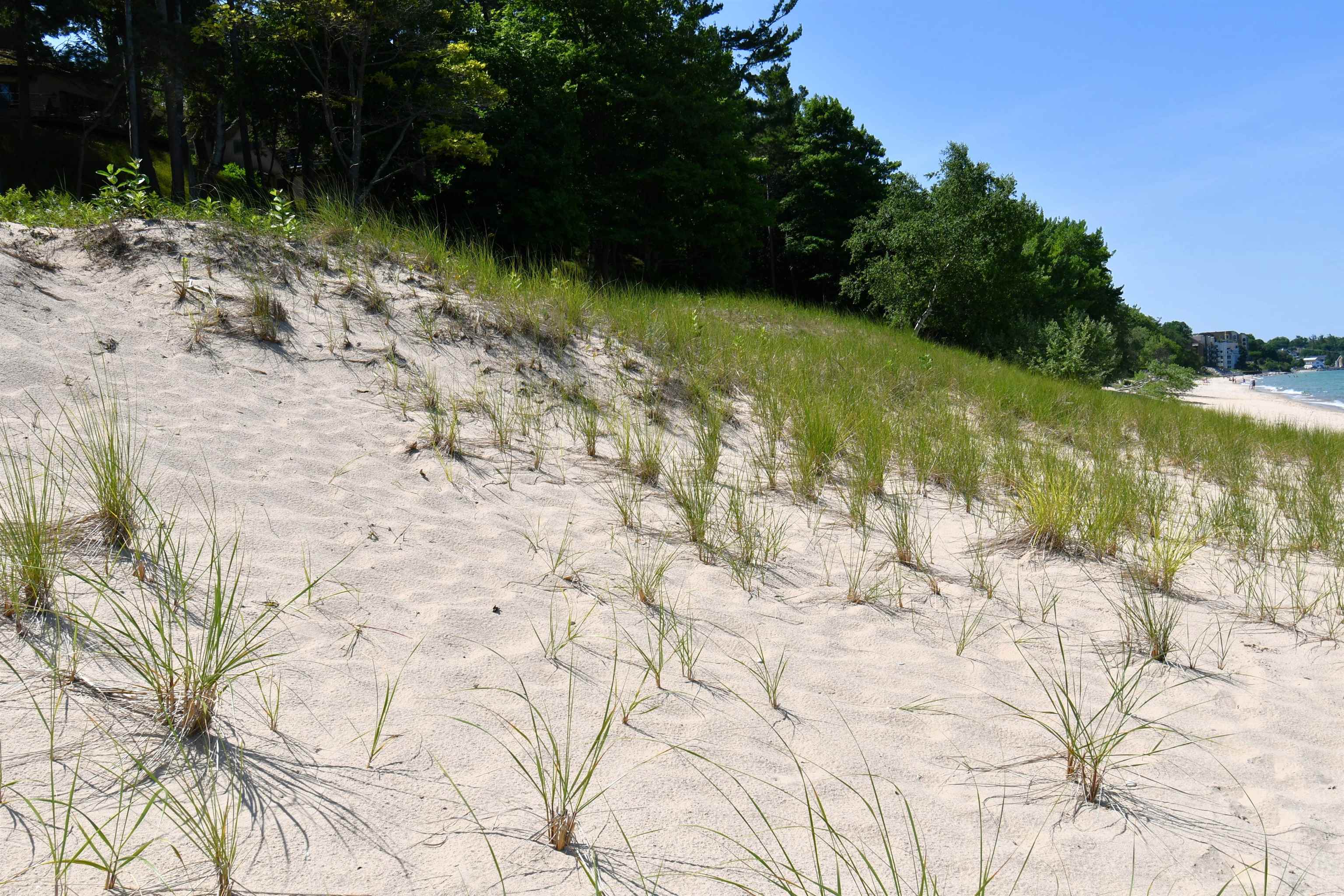 0 Mt McSauba Road Charlevoix, MI 49720 - Photo 27 of 33