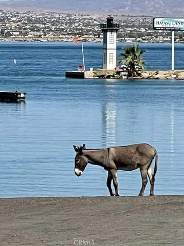 $10,200 | 0 Lot 2 On Desert View, Needles, CA 92363