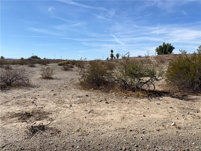 a view of a dry field with trees in the background