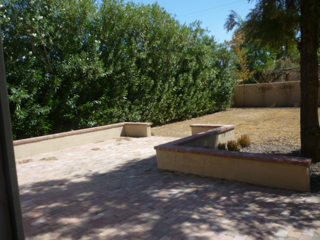 333 West Granada Road Phoenix, AZ 85003 - Photo 7 of 8 back yard