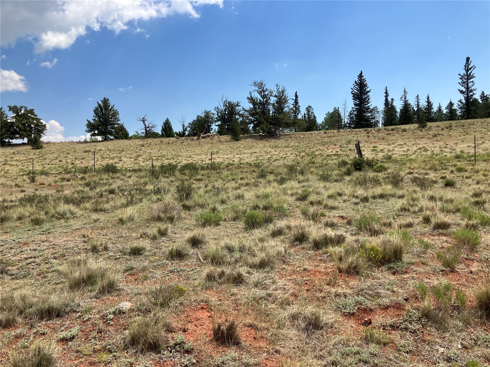 1344 Silver Heels Road Fairplay, CO 80440 - Photo 27 of 35