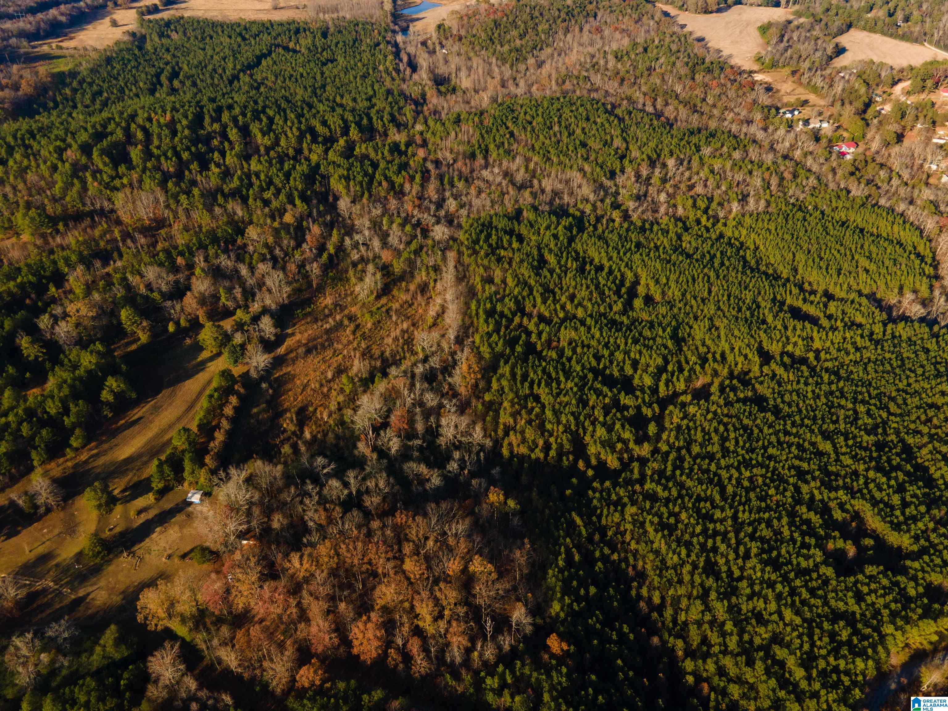 620 Chief Albert Road, Unit 1 Blountsville, AL 35031 - Photo 6 of 23