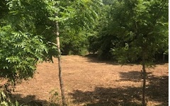 Hidden Lake Road Blairsville, GA 30512 - Photo 1 of 1 Main View
