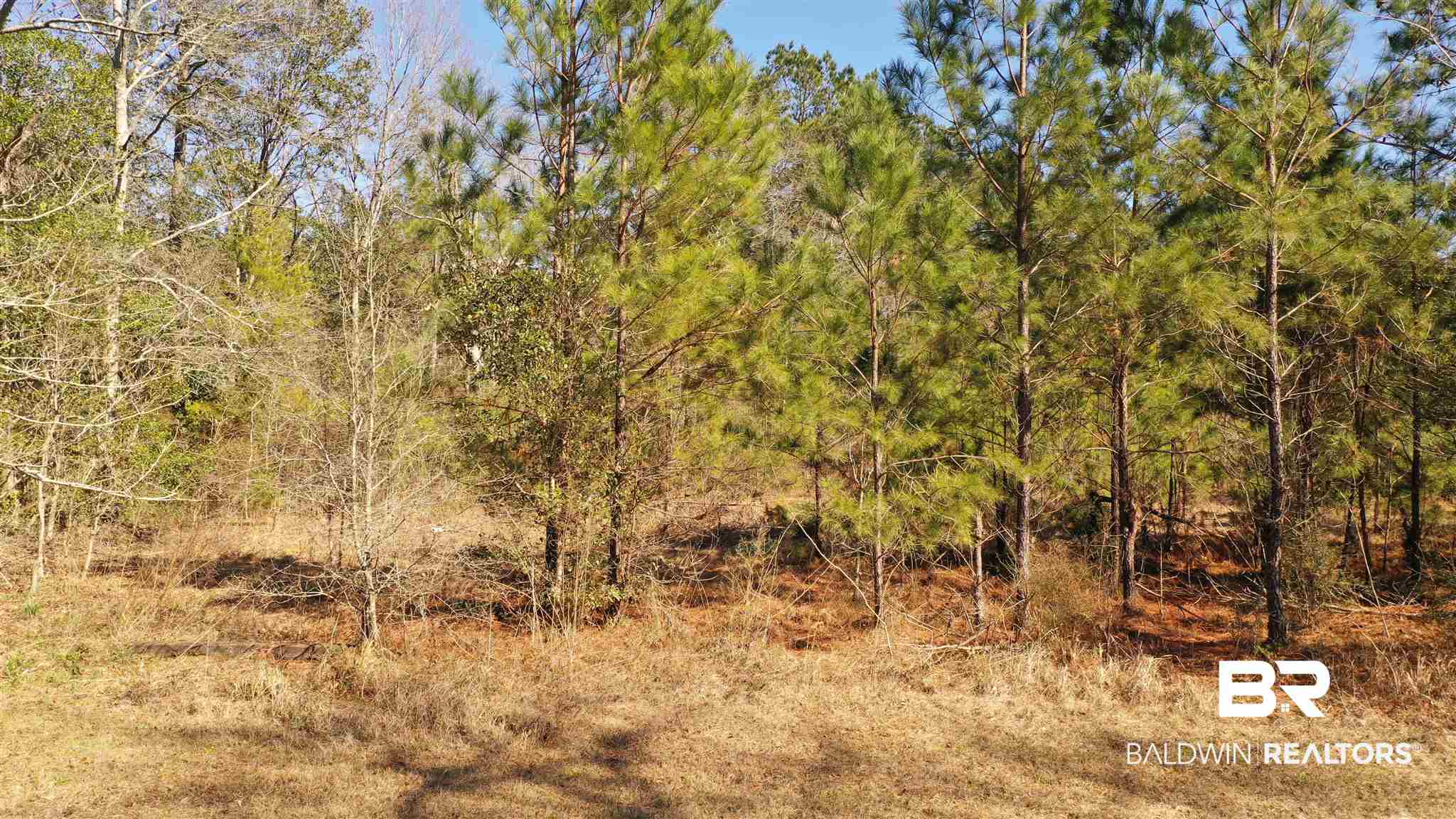 1 Moran Street Bay Minette, AL 36507 - Photo 14 of 18