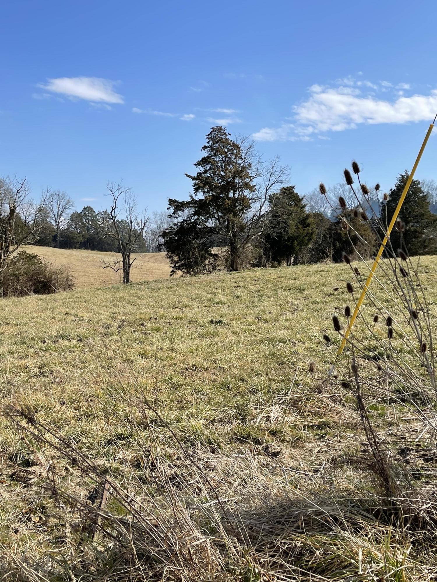 Lot 50 Lee Road, Unit 50 Mohawk, TN 37810 - Photo 1 of 4 IMG_0487-1