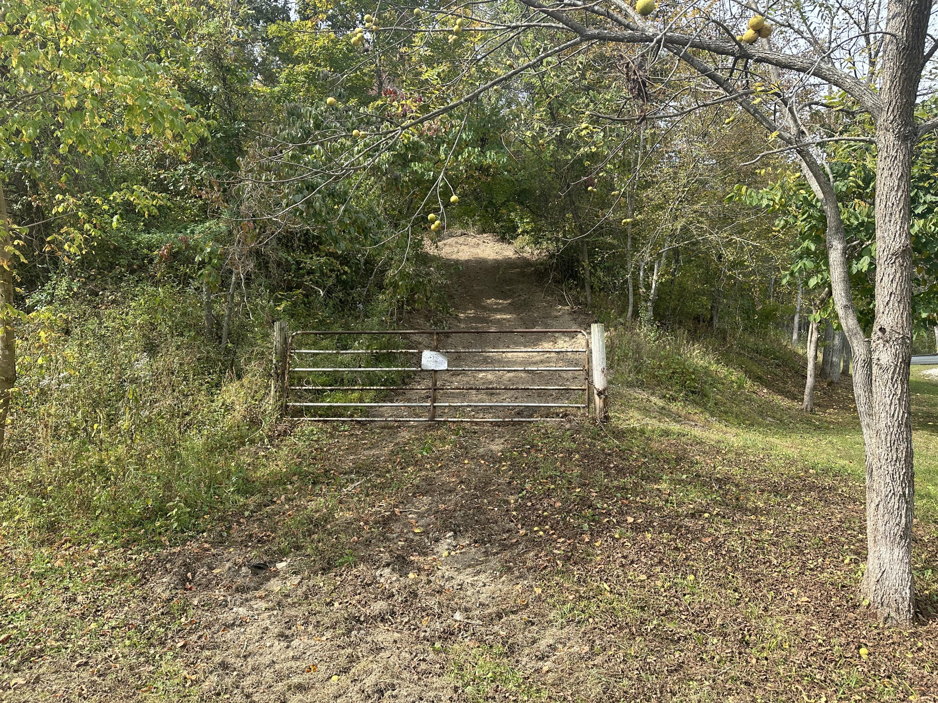 3 Williams Creek Road Rush, KY 41168 - Photo 2 of 27 1