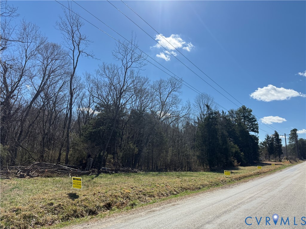 0 South Genito Road Burkeville, VA 23922 - Photo 3 of 6 Wooded lot featuring mature trees and clear sky