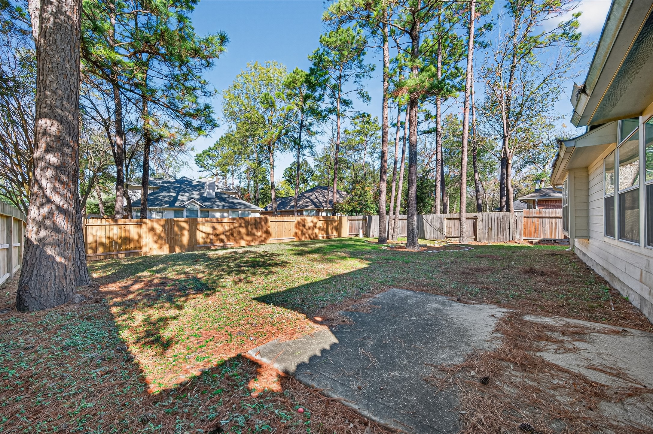 39 North Delta Mill Circle Conroe, TX 77385 - Photo 33 of 35 a view of yard with tree