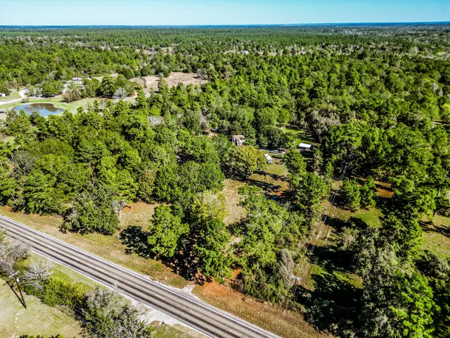 a view of a green field with lots of bushes