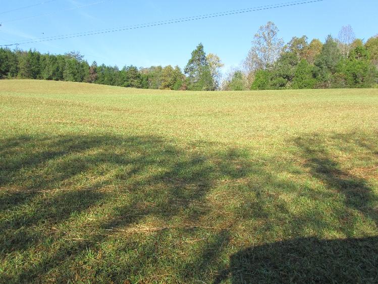 10885 Kyles Ford Road Kyles Ford, TN 37765 - Photo 2 of 36 IMG_4242