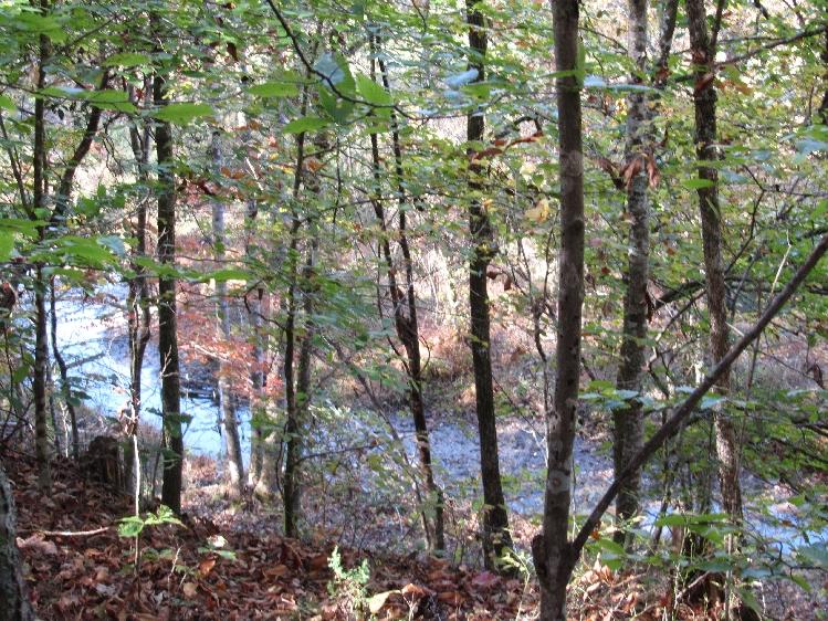 10885 Kyles Ford Road Kyles Ford, TN 37765 - Photo 21 of 36 IMG_4269-1