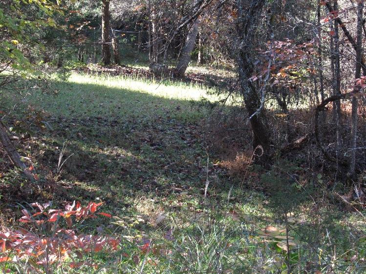 10885 Kyles Ford Road Kyles Ford, TN 37765 - Photo 22 of 36 IMG_4281