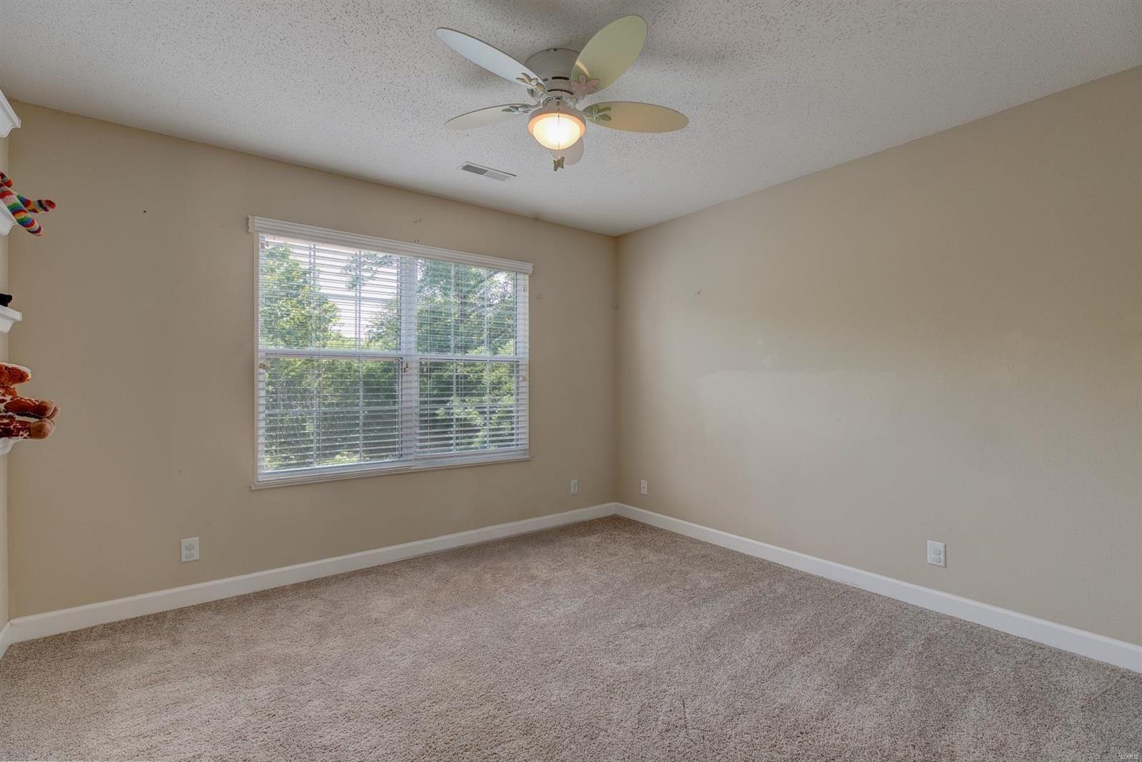 1178 Red Hawk Ridge Lane O'Fallon, IL 62269 - Photo 31 of 69 Gallery Image 31