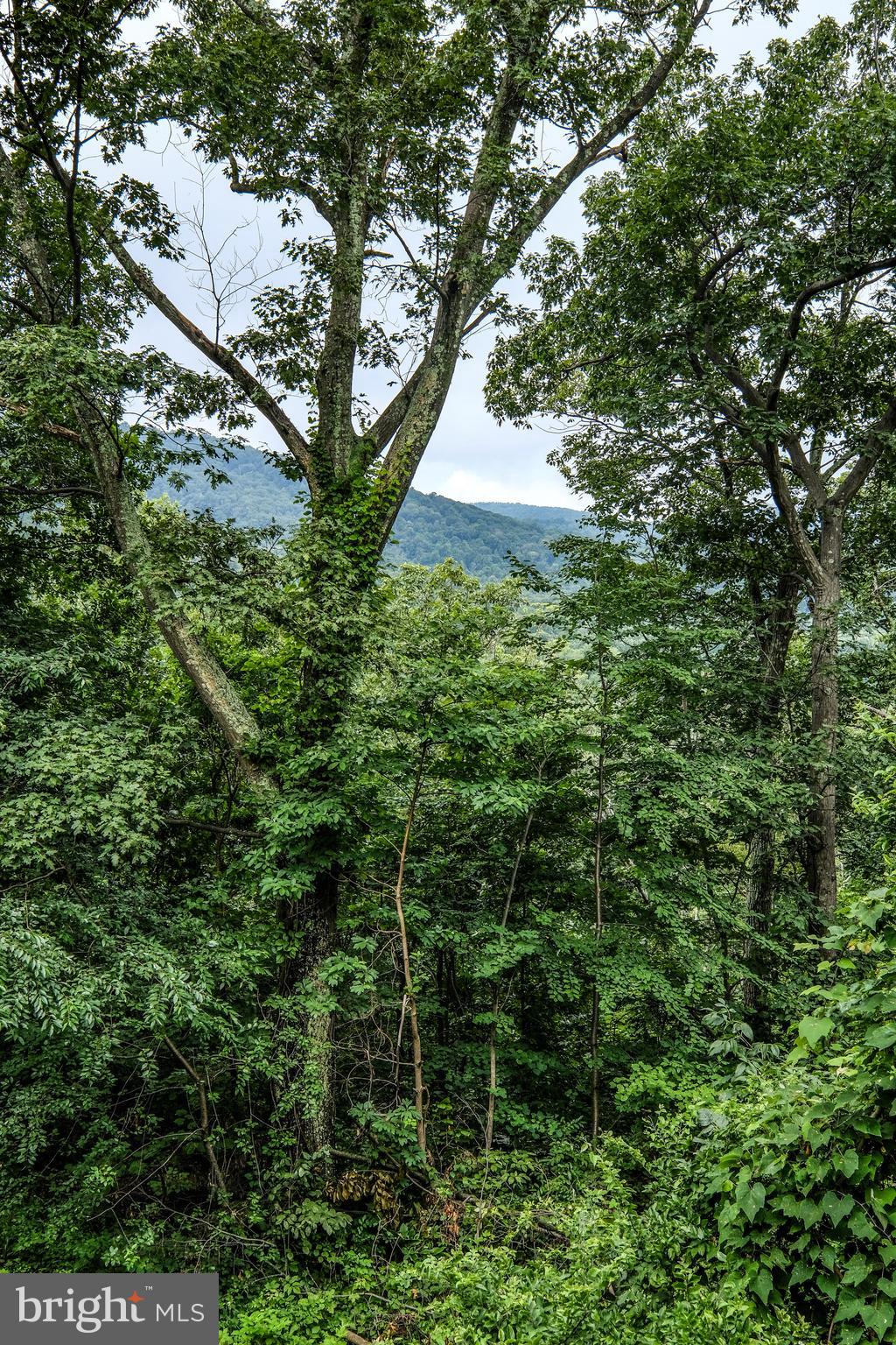 148 High Spruce Road Front Royal, VA 22630 - Photo 47 of 73