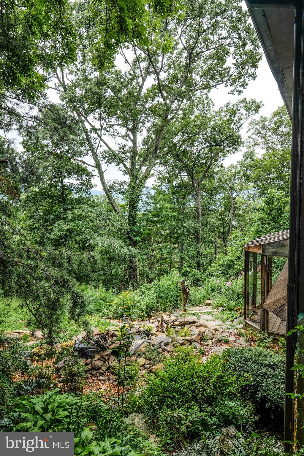 148 High Spruce Road Front Royal, VA 22630 - Photo 56 of 73