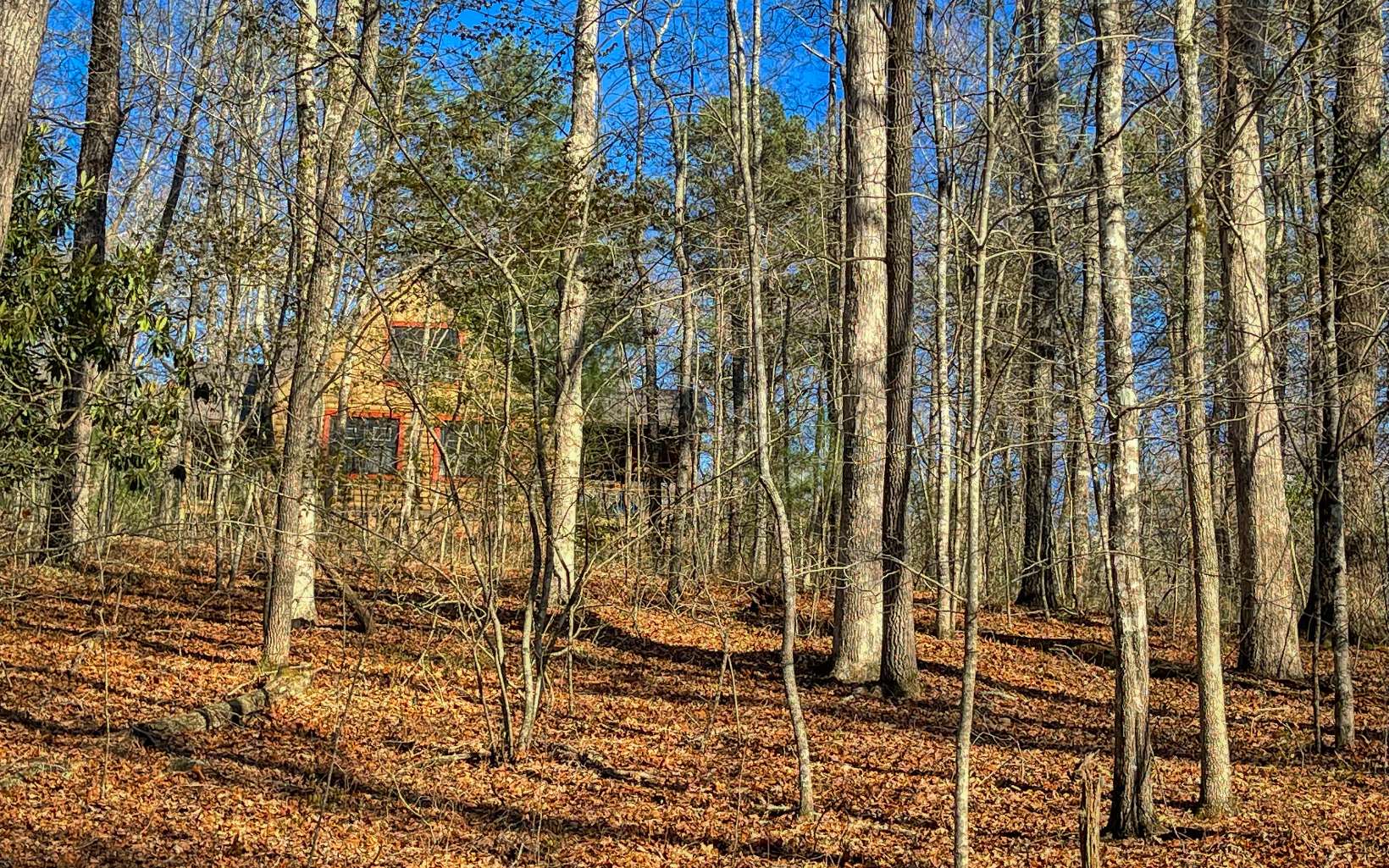111 Watkins Farm Road Blue Ridge, GA 30513 - Photo 29 of 44