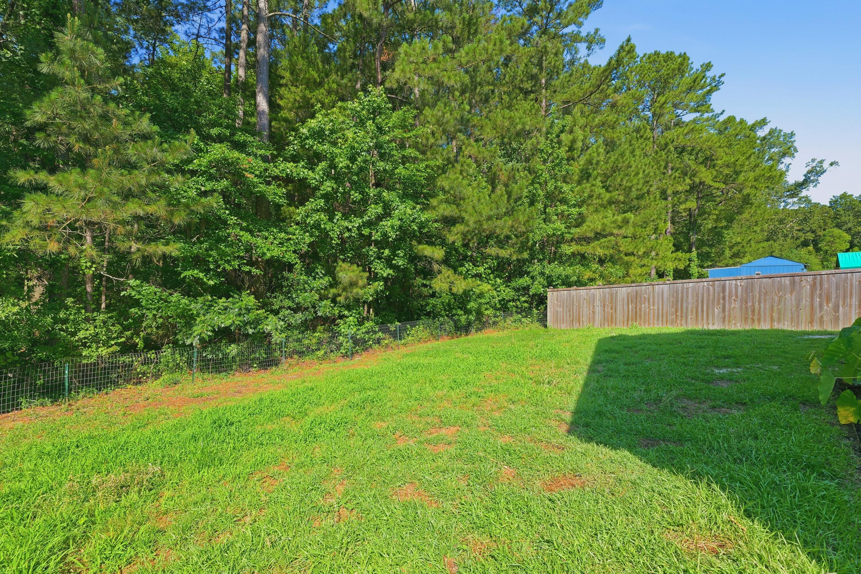 559 Abigail Street Moncks Corner, SC 29461 - Photo 46 of 47