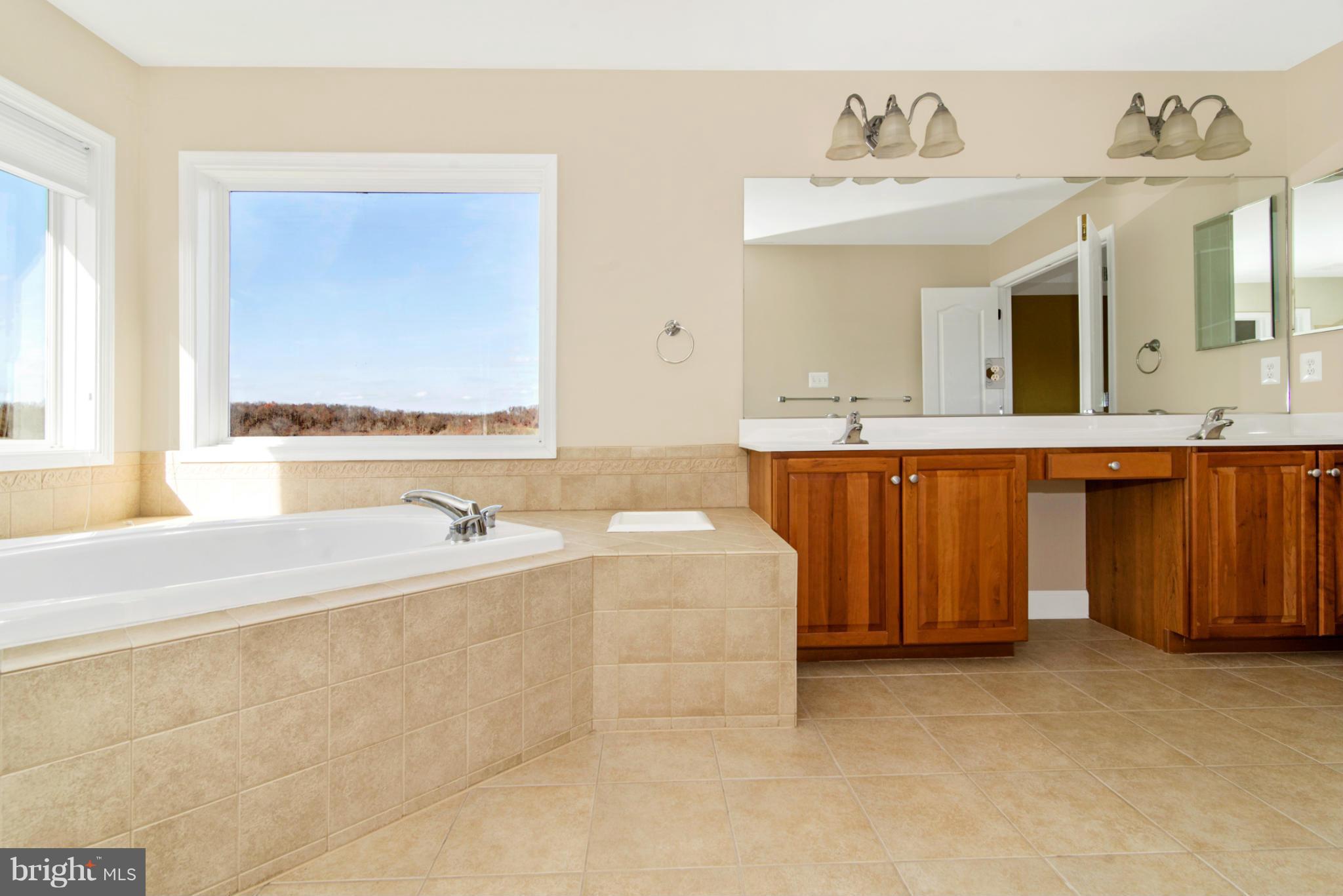 11012 Country Club Road New Market, MD 21774 - Photo 18 of 30 Bath (Master)