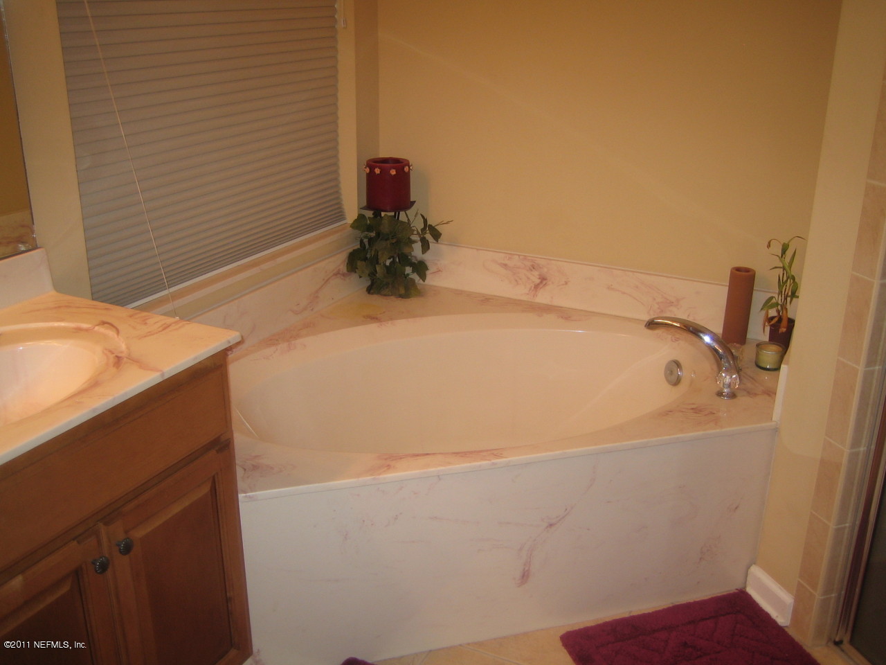 710 Otis Road Jacksonville, FL 32220 - Photo 14 of 26 Master Garden Tub