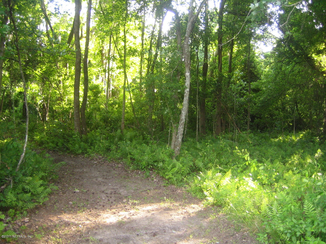 710 Otis Road Jacksonville, FL 32220 - Photo 26 of 26 Rear of lot