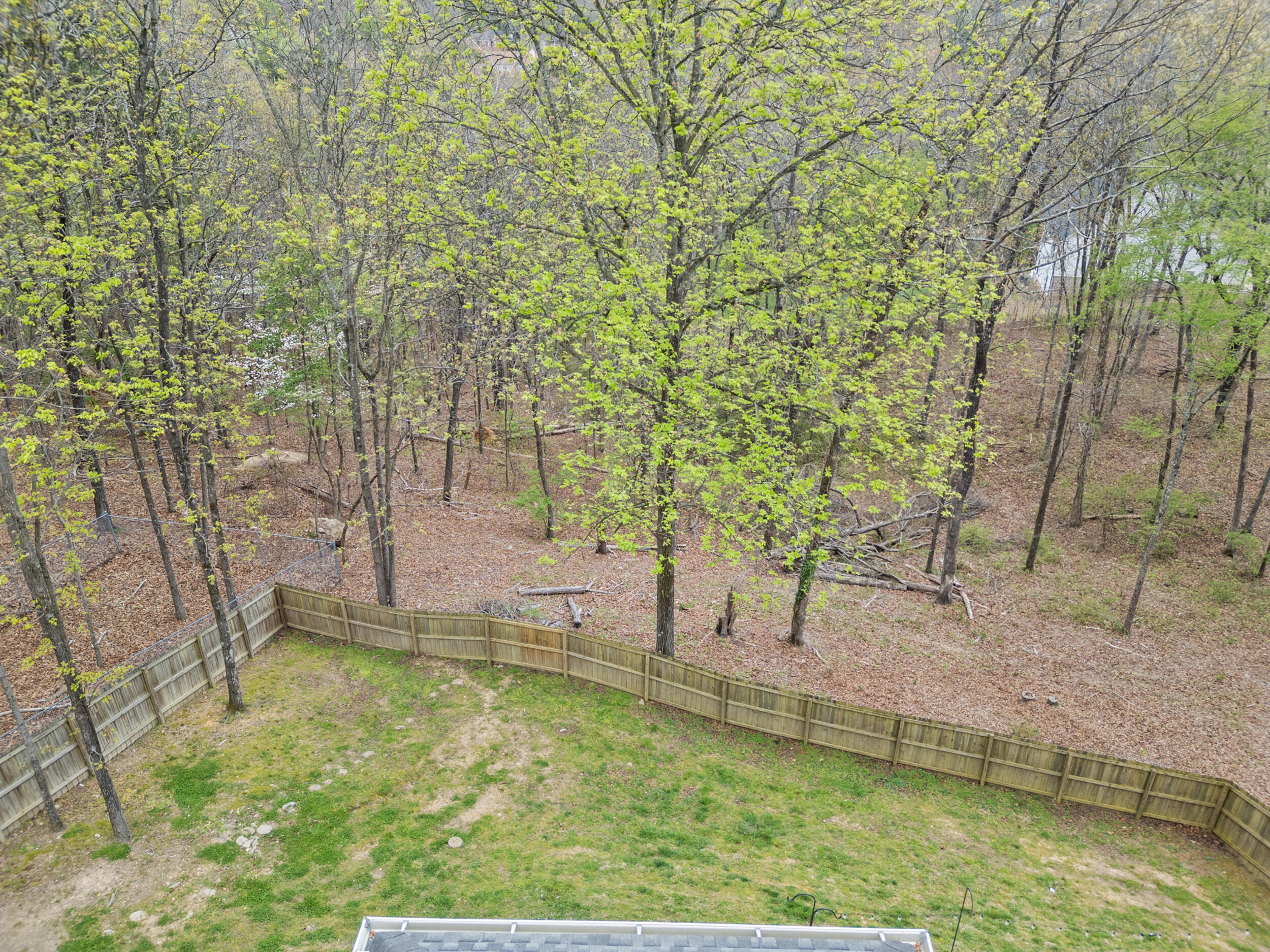 802 Brookhollow Lane Chattanooga, TN 37421 - Photo 47 of 60 Backyard view from the deck.