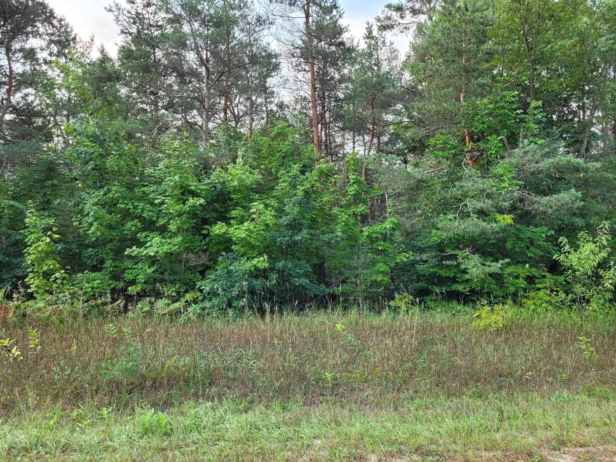 Parcel B Homestead Road Thompsonville, MI 49683 - Photo 2 of 16